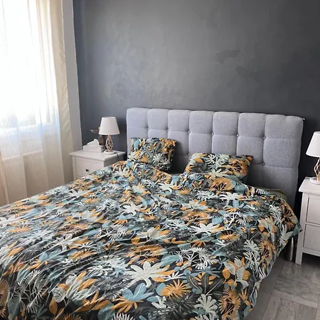 Cattus Location Maison Bram